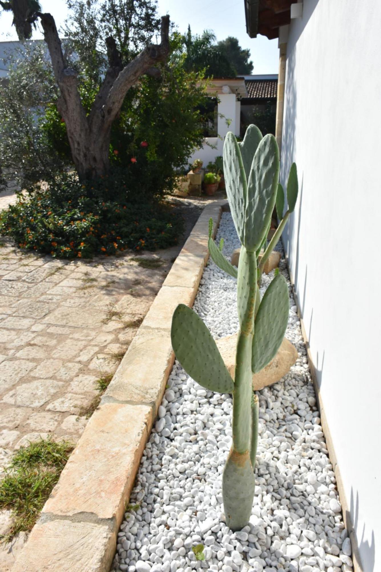 Masseria Tenuta Flora Maria Leverano Bagian luar foto